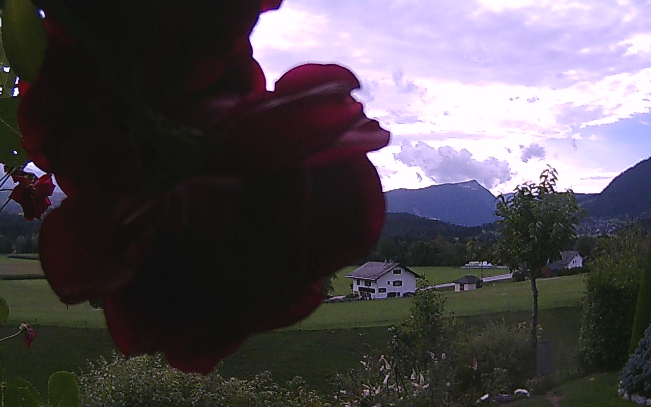 last webcam picture